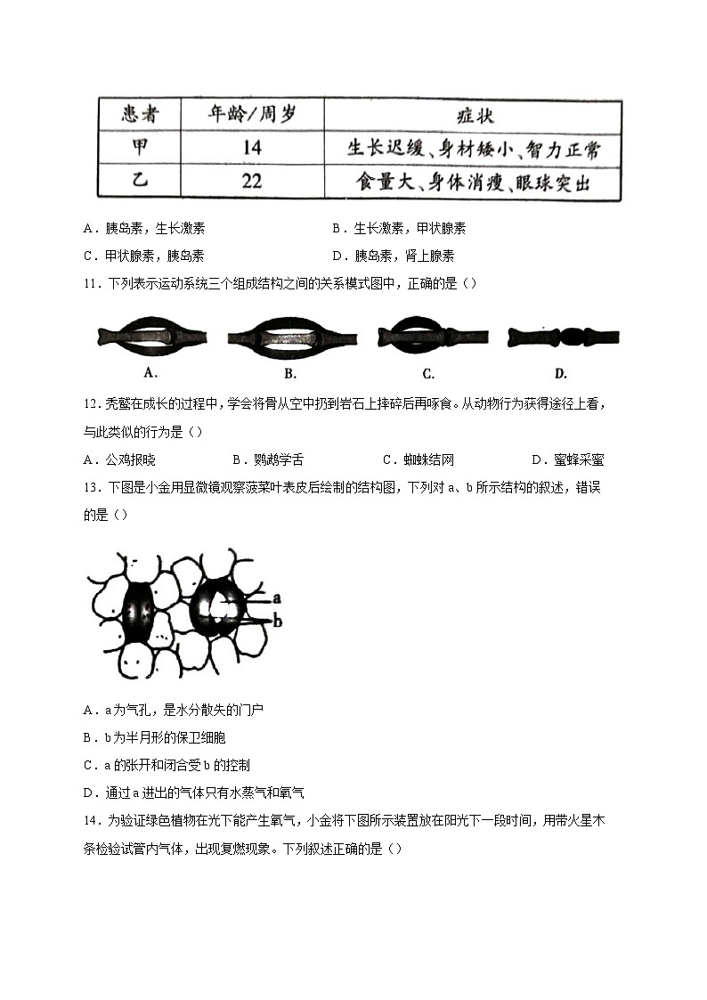 陕西省安康市汉阴县2023-2024学年八年级上册期末生物模拟试题（附答案）03