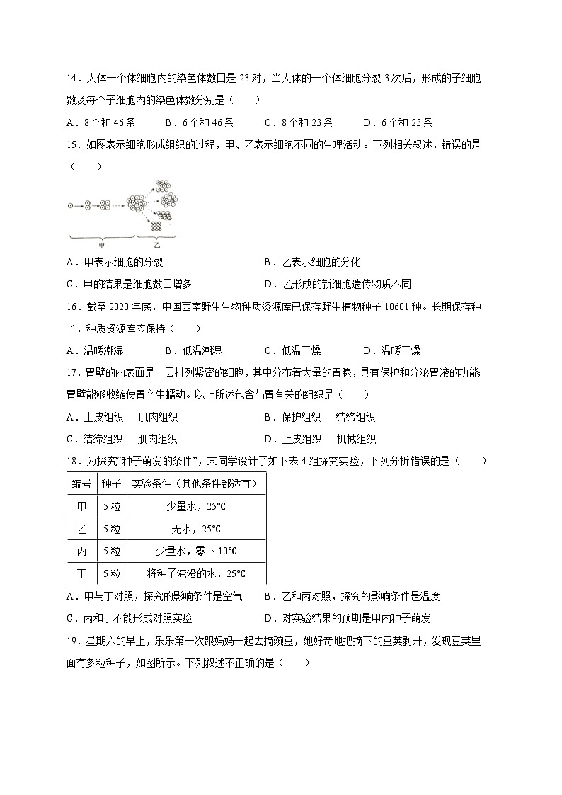 山东省威海荣成市2023-2024学年八年级上册期末考试生物模拟试题（附答案）第3页