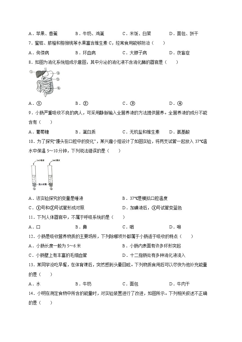 山东省威海荣成市2023-2024学年七年级上册期末考试生物模拟试题（附答案）02