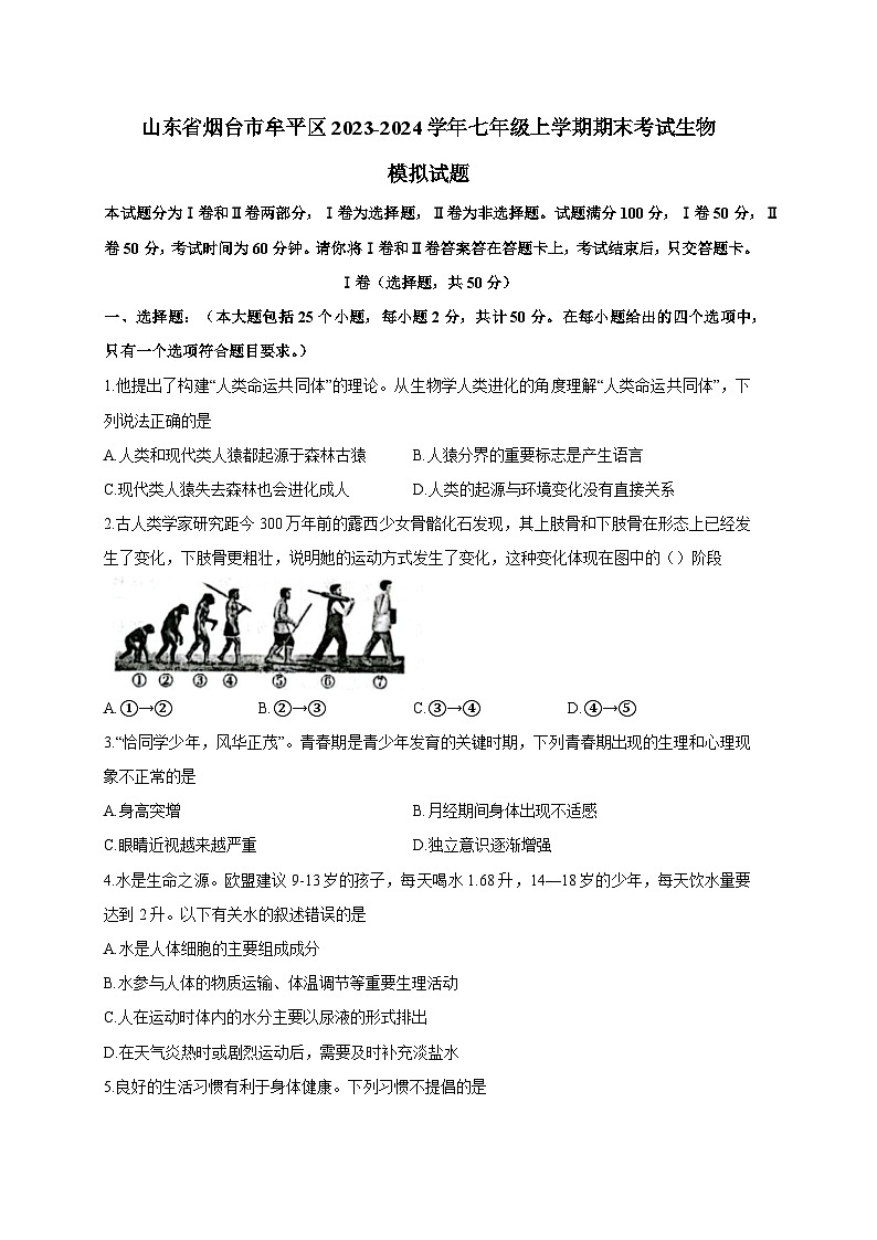 山东省烟台市牟平区2023-2024学年七年级上册期末考试生物模拟试题（附答案）01