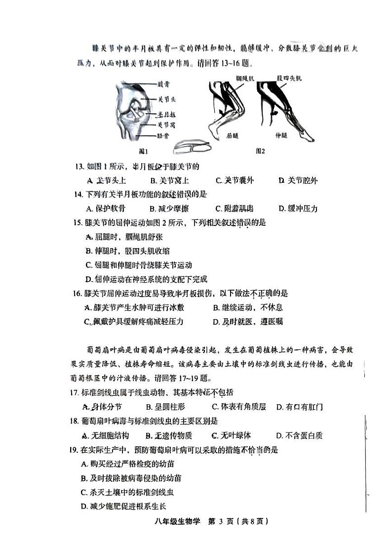 北京市丰台区2023-2024学年八年级上学期期末生物试题第3页