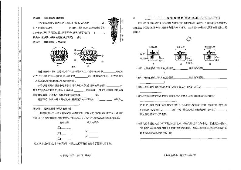山西太原市2023-2024初一上学期期末生物试卷及答案第3页