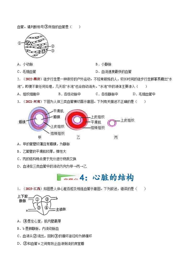 【备战2024中考】一轮复习 初中生物 真题分项汇编 专题07 人体内的物质运输和废物排出（原卷+解析）.zip03