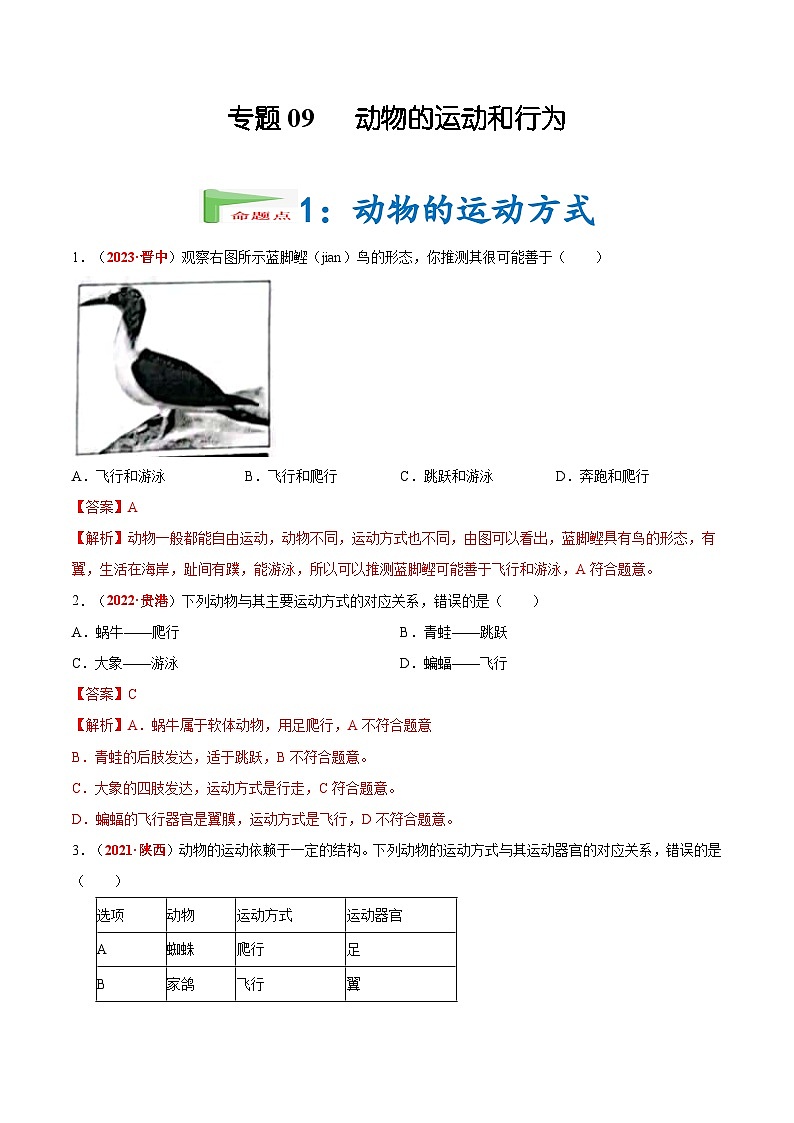【备战2024中考】一轮复习 初中生物 真题分项汇编 专题09 动物的运动和行为（原卷+解析）.zip01