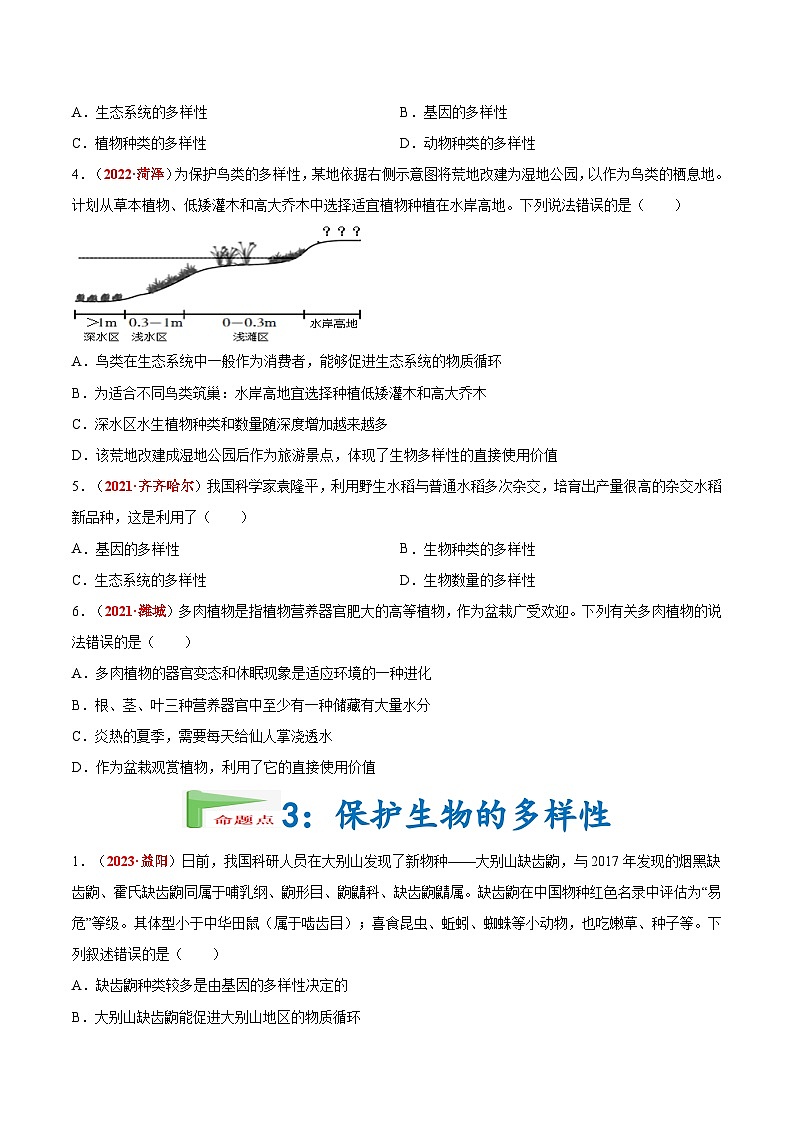 【备战2024中考】一轮复习 初中生物 真题分项汇编 专题11 生物的分类、进化和多样性保护（原卷+解析）.zip03