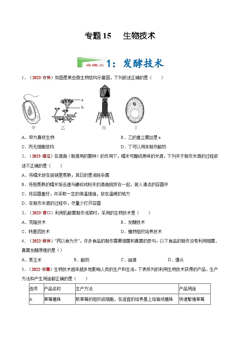 【备战2024中考】一轮复习 初中生物 真题分项汇编 专题15 生物技术（原卷+解析）.zip01