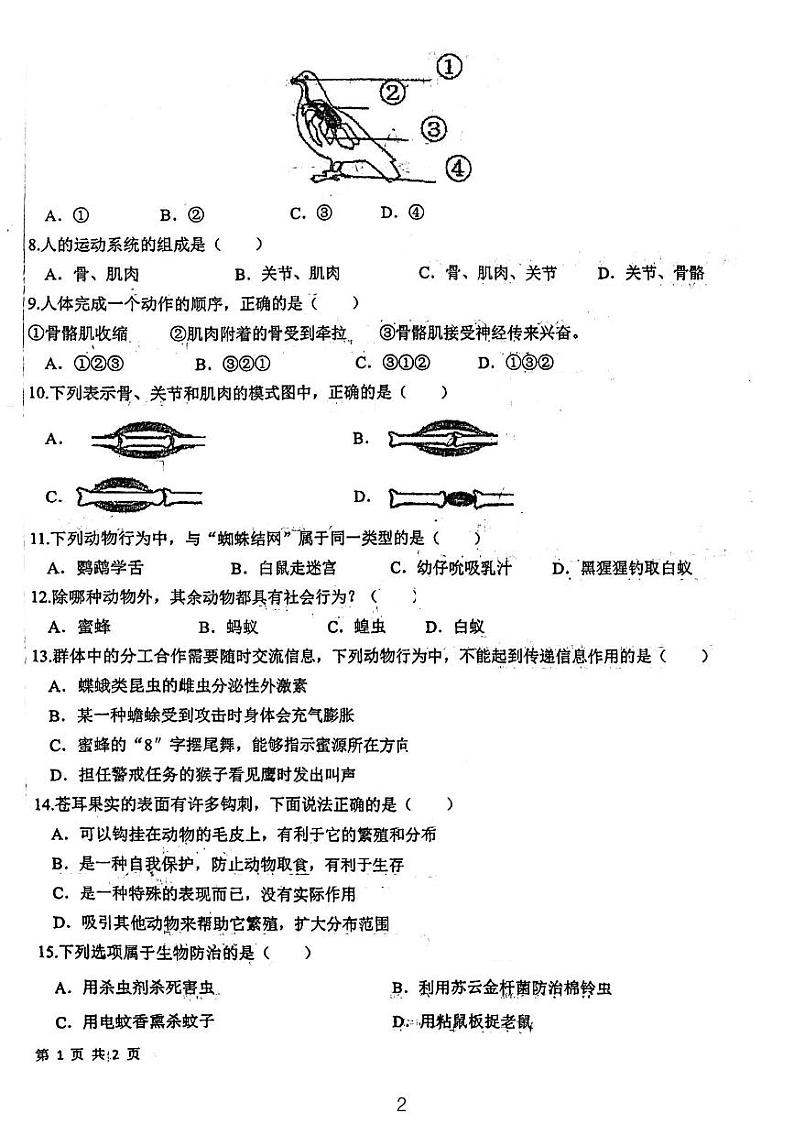 安徽省安庆市桐城市第二中学2023-2024学年八年级上学期期末考试生物学试题第2页
