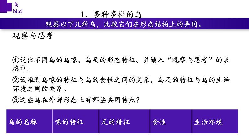 5.1.6+鸟-【精华备课】2023-2024学年八年级生物上册同步教学课件（人教版）05