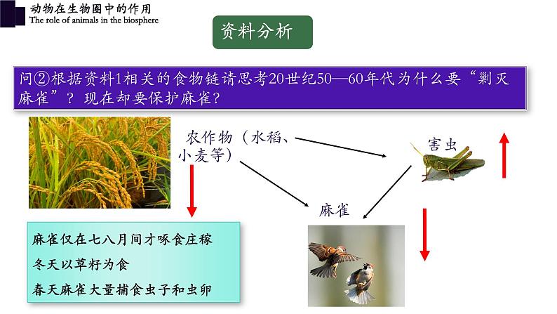 5.3+动物在生物圈中的作用-【精华备课】2023-2024学年八年级生物上册同步教学课件（人教版）07