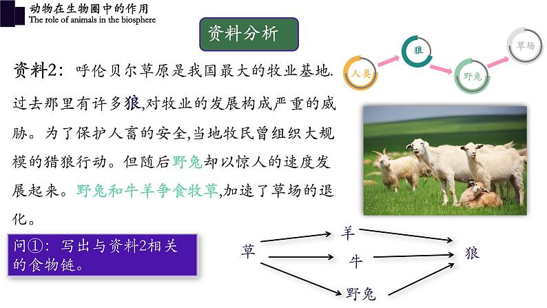 5.3+动物在生物圈中的作用-【精华备课】2023-2024学年八年级生物上册同步教学课件（人教版）08