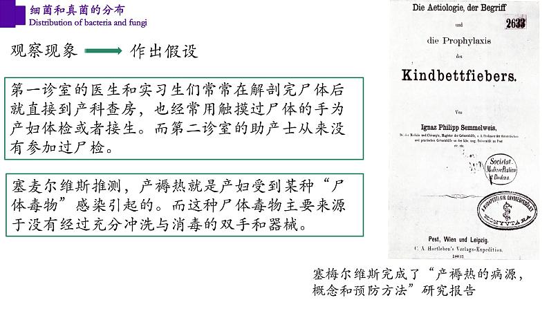 5.4.1+细菌和真菌的分布-【精华备课】2023-2024学年八年级生物上册同步教学课件（人教版）06