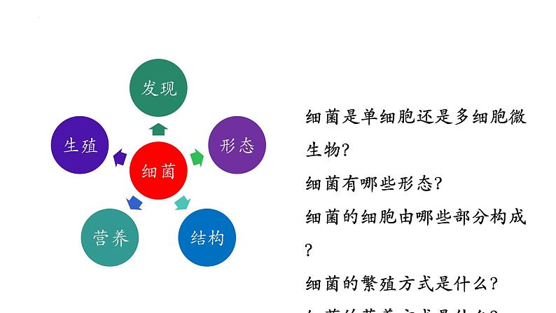 5.4.2 细菌-【精华备课】2023-2024学年八年级生物上册同步教学课件（人教版）03