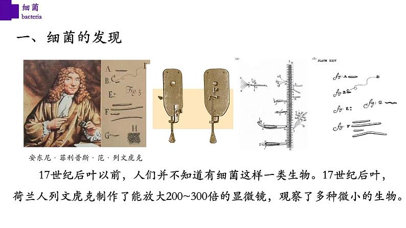 5.4.2 细菌-【精华备课】2023-2024学年八年级生物上册同步教学课件（人教版）04