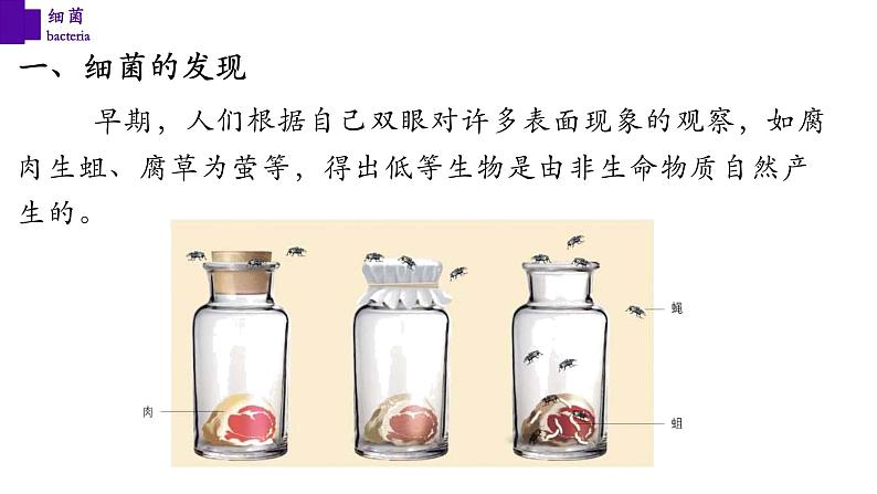 5.4.2 细菌-【精华备课】2023-2024学年八年级生物上册同步教学课件（人教版）06