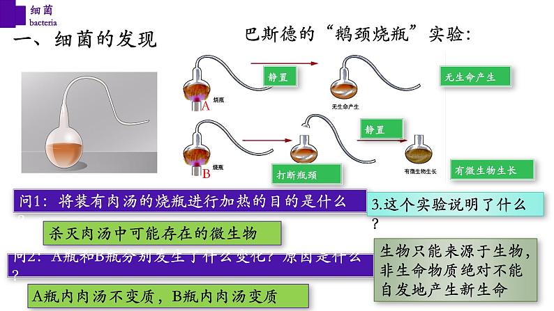 5.4.2 细菌-【精华备课】2023-2024学年八年级生物上册同步教学课件（人教版）08