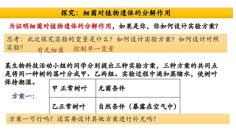 5.4.4+细菌和真菌在自然界中的作用-【精华备课】2023-2024学年八年级生物上册同步教学课件（人教版）05