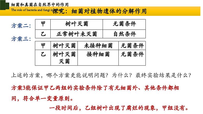 5.4.4+细菌和真菌在自然界中的作用-【精华备课】2023-2024学年八年级生物上册同步教学课件（人教版）06