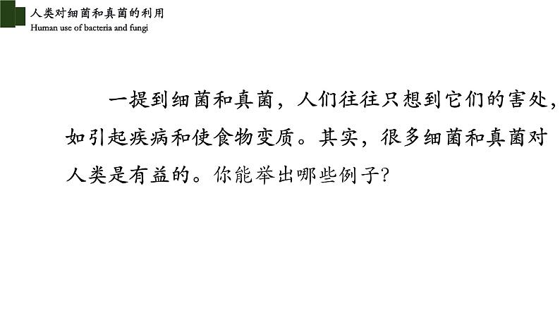 5.4.5 人类对细菌和真菌的利用（第一课时）-【精华备课】2023-2024学年八年级生物上册同步教学课件（人教版）02