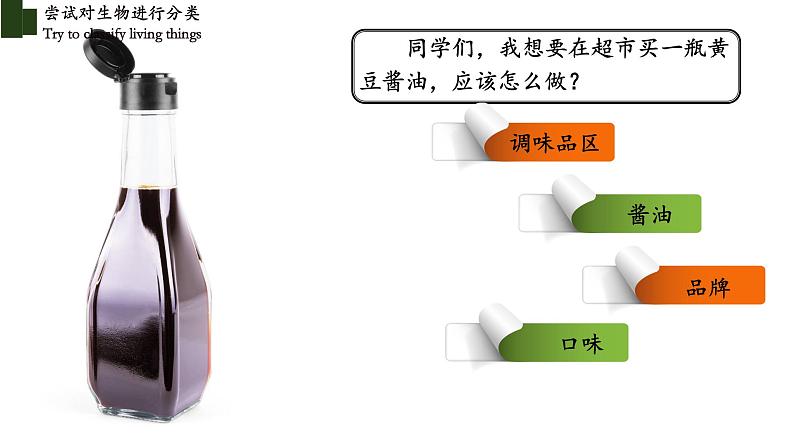 6.1.1 尝试对生物进行分类-【精华备课】2023-2024学年八年级生物上册同步教学课件（人教版）04