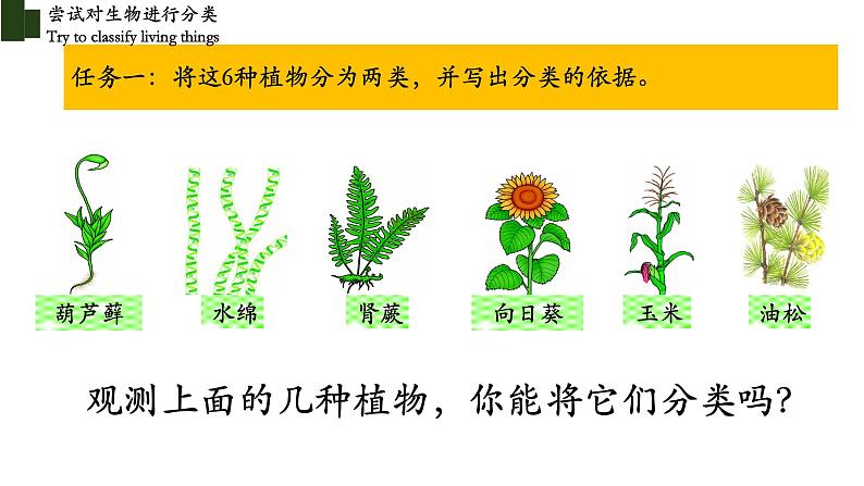 6.1.1 尝试对生物进行分类-【精华备课】2023-2024学年八年级生物上册同步教学课件（人教版）08