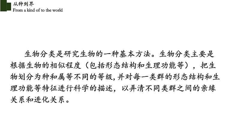 6.1.2 从种到界-【精华备课】2023-2024学年八年级生物上册同步教学课件（人教版）02
