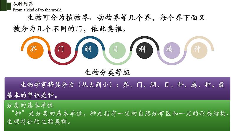 6.1.2 从种到界-【精华备课】2023-2024学年八年级生物上册同步教学课件（人教版）03