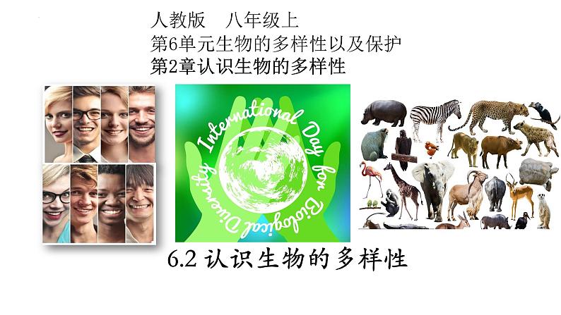 6.2+认识生物的多样性-【精华备课】2023-2024学年八年级生物上册同步教学课件（人教版）01