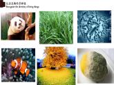 6.2+認識生物的多樣性-【精華備課】2023-2024學年八年級生物上冊同步教學課件（人教版）