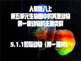 5.1.1+腔肠动物（第一课时）-【精华备课】2023-2024学年八年级生物上册同步教学课件（人教版）