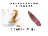 5.1.1+扁形动物（第二课时）-【精华备课】2023-2024学年八年级生物上册同步教学课件（人教版）