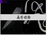 5.1.1+扁形动物（第二课时）-【精华备课】2023-2024学年八年级生物上册同步教学课件（人教版）