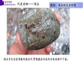 5.1.1+扁形动物（第二课时）-【精华备课】2023-2024学年八年级生物上册同步教学课件（人教版）