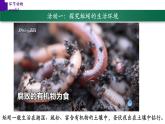 5.1.2+环节动物（第二课时）-【精华备课】2023-2024学年八年级生物上册同步教学课件（人教版）