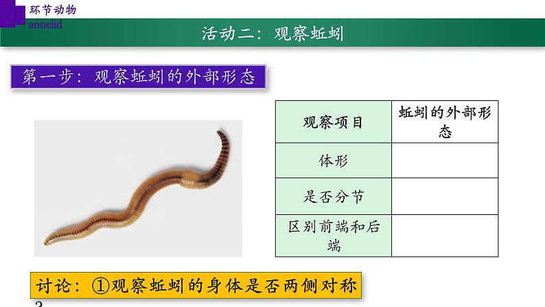 5.1.2+环节动物（第二课时）-【精华备课】2023-2024学年八年级生物上册同步教学课件（人教版）07