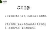 5.1.5 两栖动物（第一课时）-【精华备课】2023-2024学年八年级生物上册同步教学课件（人教版）