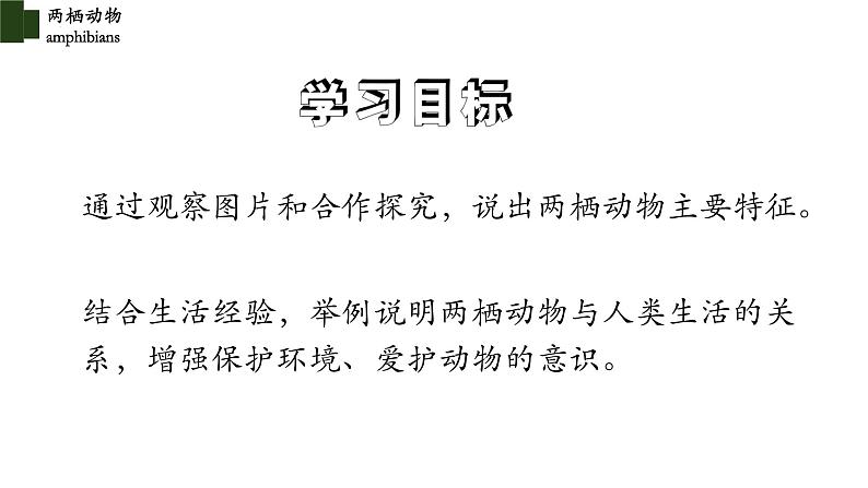 5.1.5 两栖动物（第一课时）-【精华备课】2023-2024学年八年级生物上册同步教学课件（人教版）03