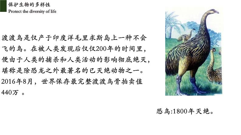 6.3+保护生物多样性-2023-2024学年八年级生物上册同步教学课件（人教版）03