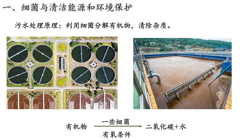 5.4.5 人类对细菌和真菌的利用（第二课时）-【精华备课】2023-2024学年八年级生物上册同步教学课件（人教版）02