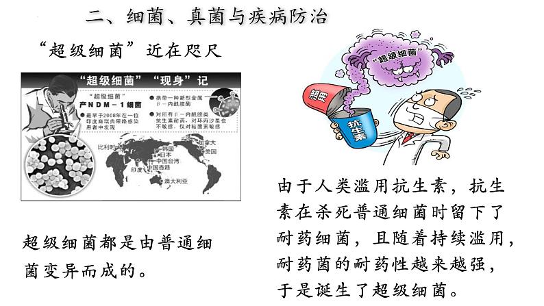 5.4.5 人类对细菌和真菌的利用（第二课时）-【精华备课】2023-2024学年八年级生物上册同步教学课件（人教版）05