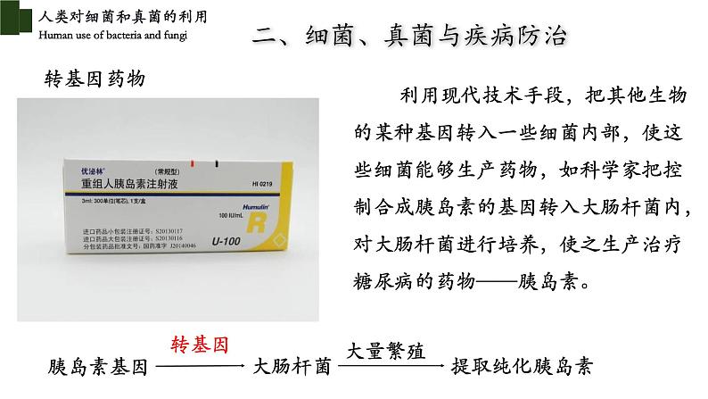 5.4.5 人类对细菌和真菌的利用（第二课时）-【精华备课】2023-2024学年八年级生物上册同步教学课件（人教版）06