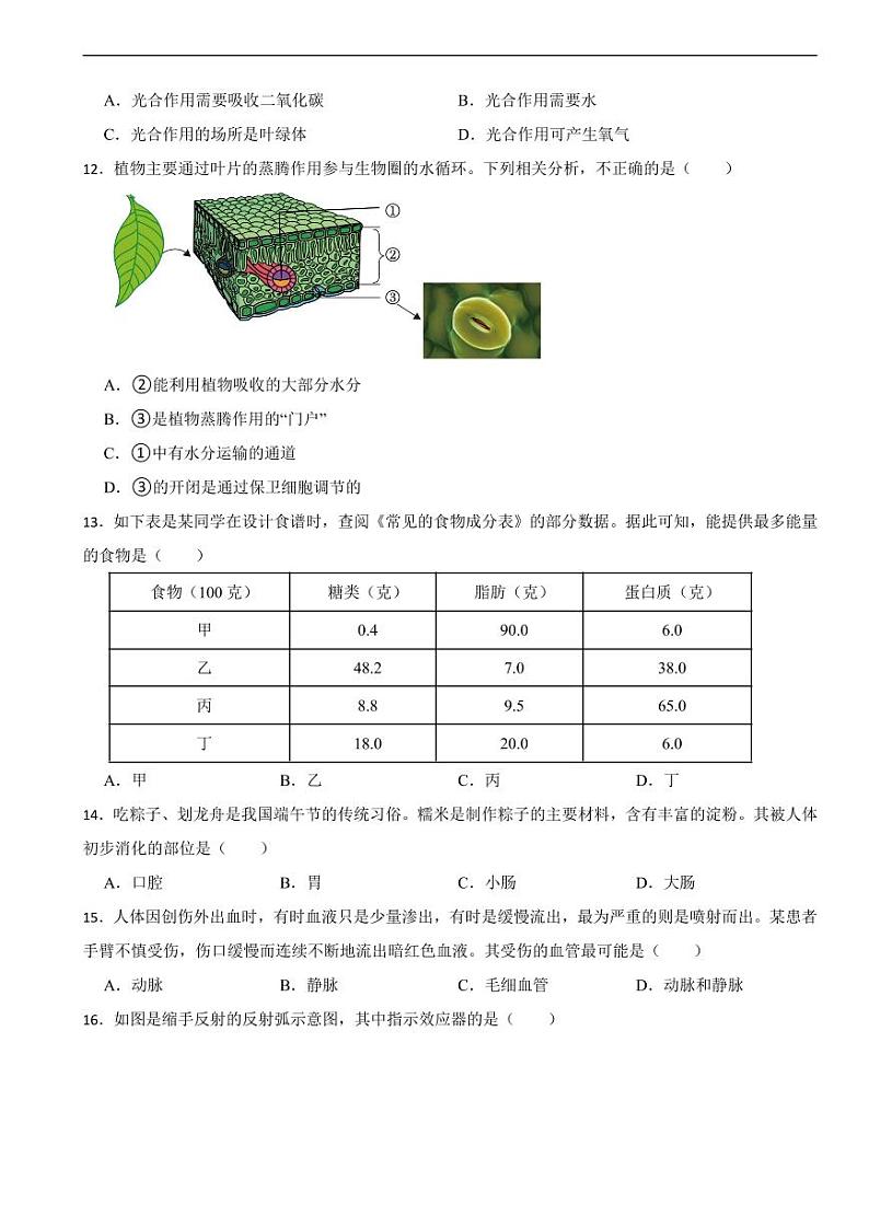 广东省广州市2022年中考生物试卷附参考答案03