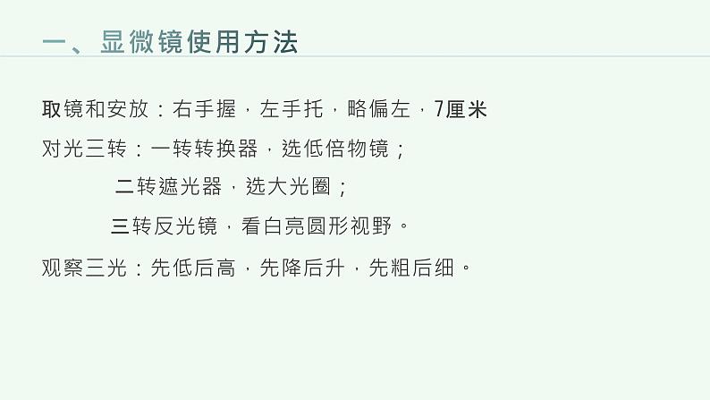 第二单元生物层结构层次复习课件2023--2024学年人教版生物七年级上册04