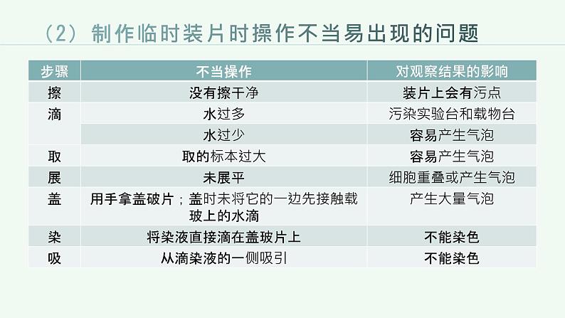 第二单元生物层结构层次复习课件2023--2024学年人教版生物七年级上册07