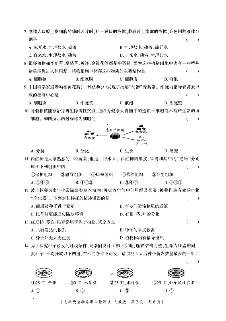 31，陕西省安康市2023-2024学年七年级上学期期末生物试题第2页