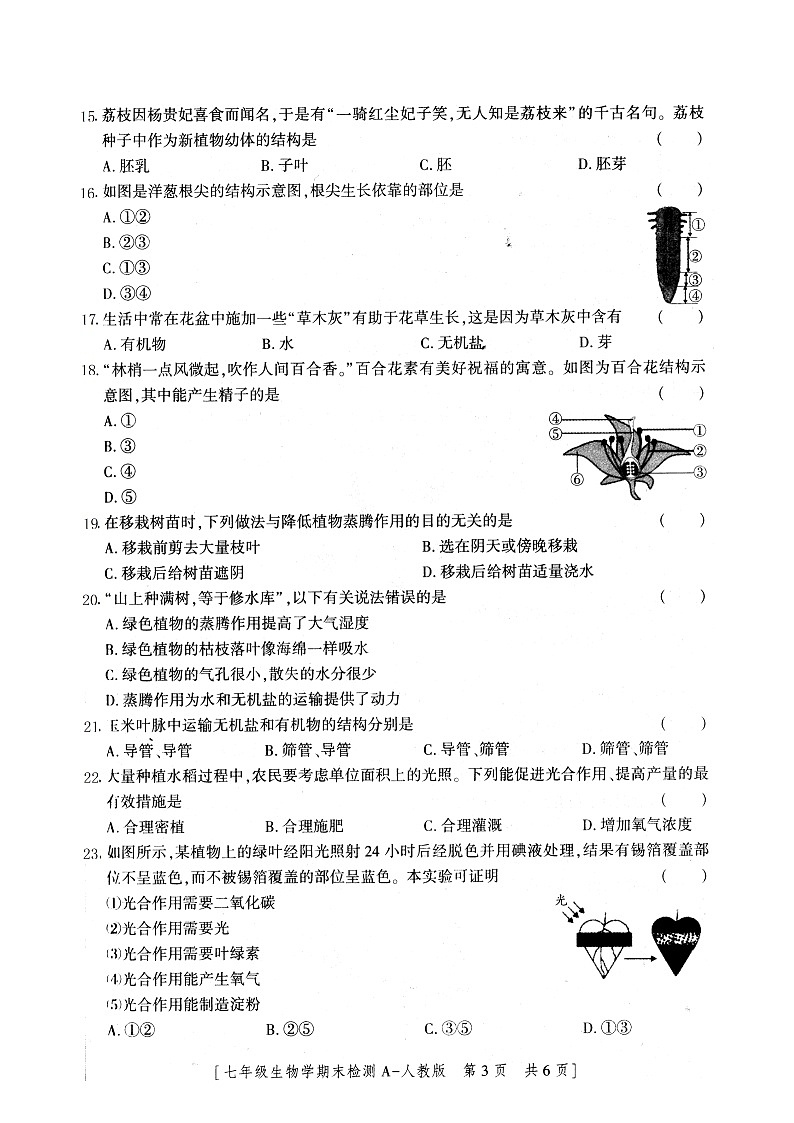 31，陕西省安康市2023-2024学年七年级上学期期末生物试题第3页