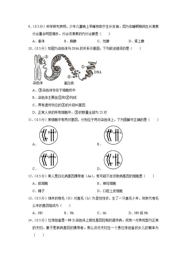 32，江苏省泰州市兴化市2023-2024学年八年级上学期期末生物试卷03