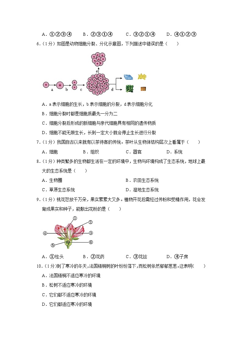34，辽宁省朝阳市建平县2023-2024学年七年级上学期期末生物试卷第2页