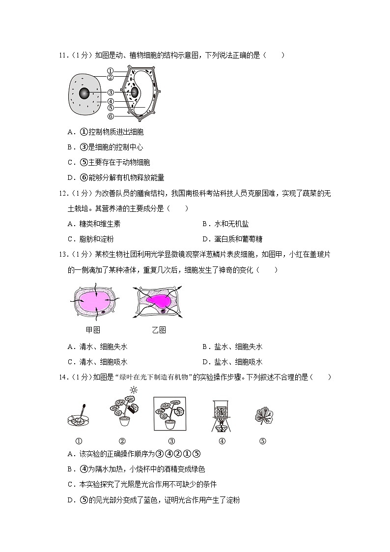34，辽宁省朝阳市建平县2023-2024学年七年级上学期期末生物试卷第3页