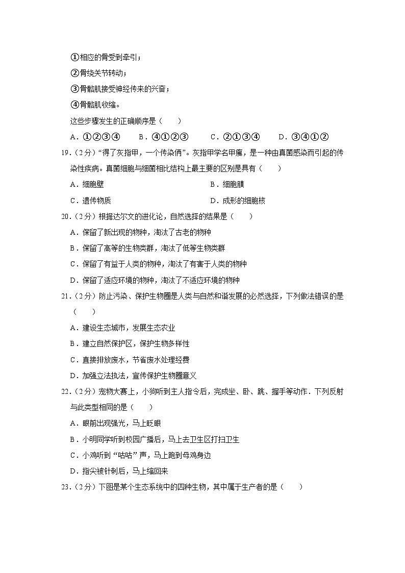 57，河南省洛阳市新安县2023-2024学年八年级上学期期末生物试卷第3页
