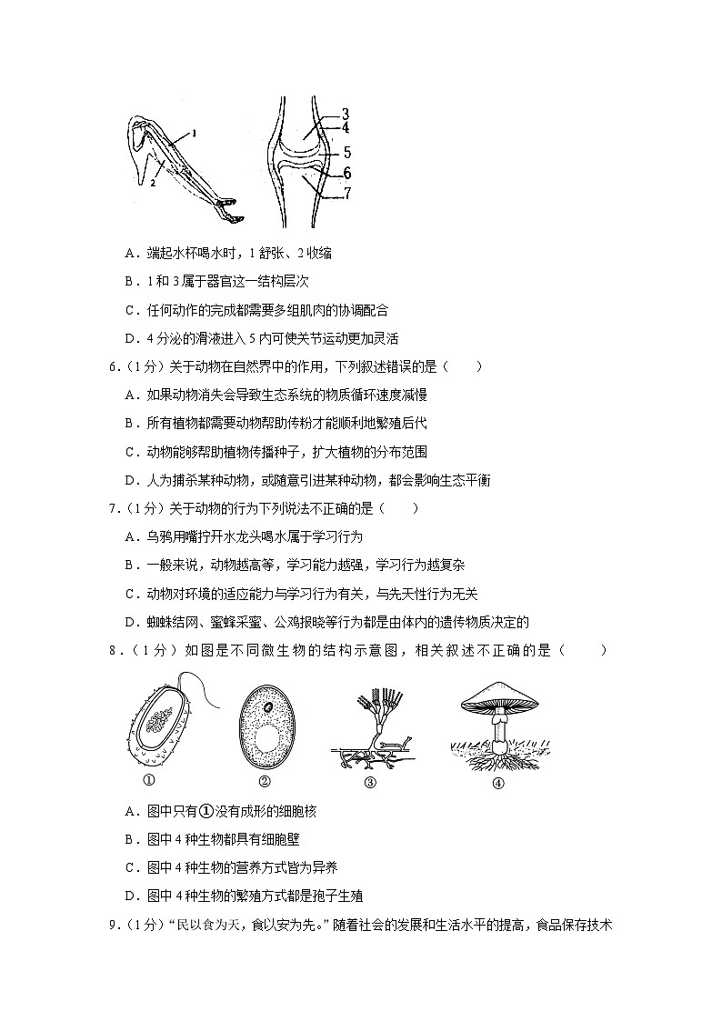 62，山东省青岛市城阳区2023-2024学年八年级上学期期末生物试卷02